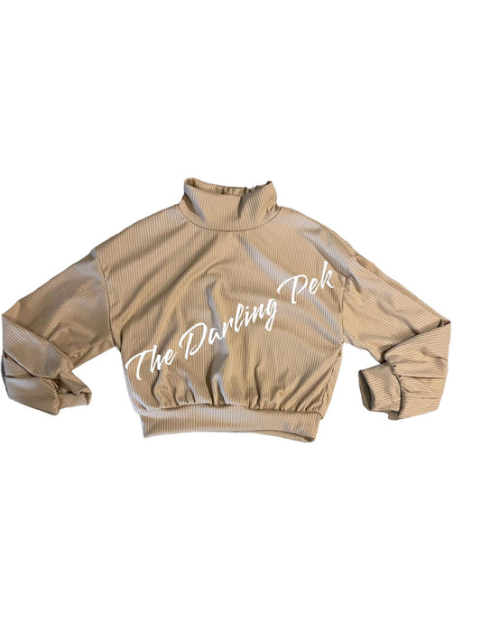 Tan Long Sleeve Mock Neck Top (Modest Crop)