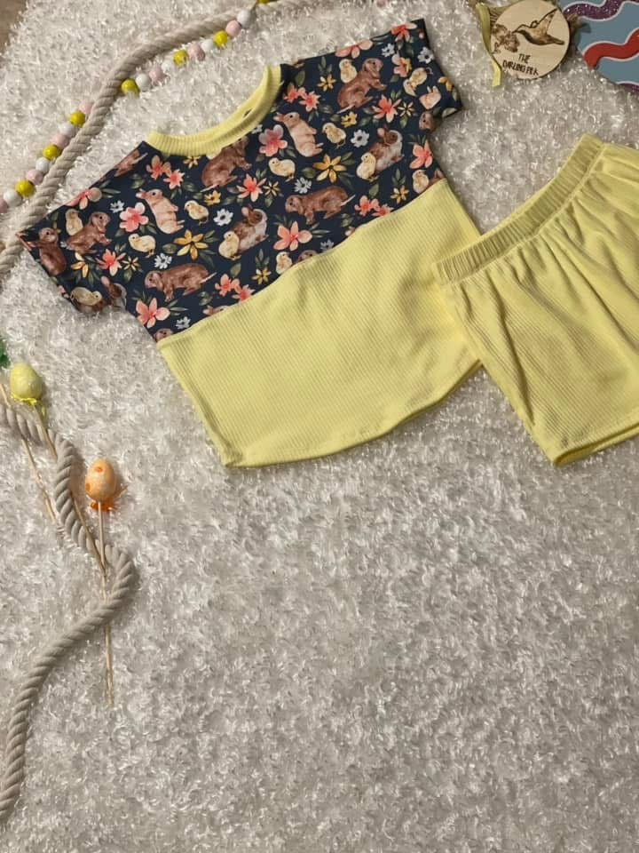 RTS Set- 2T Slate & Play Shorts
