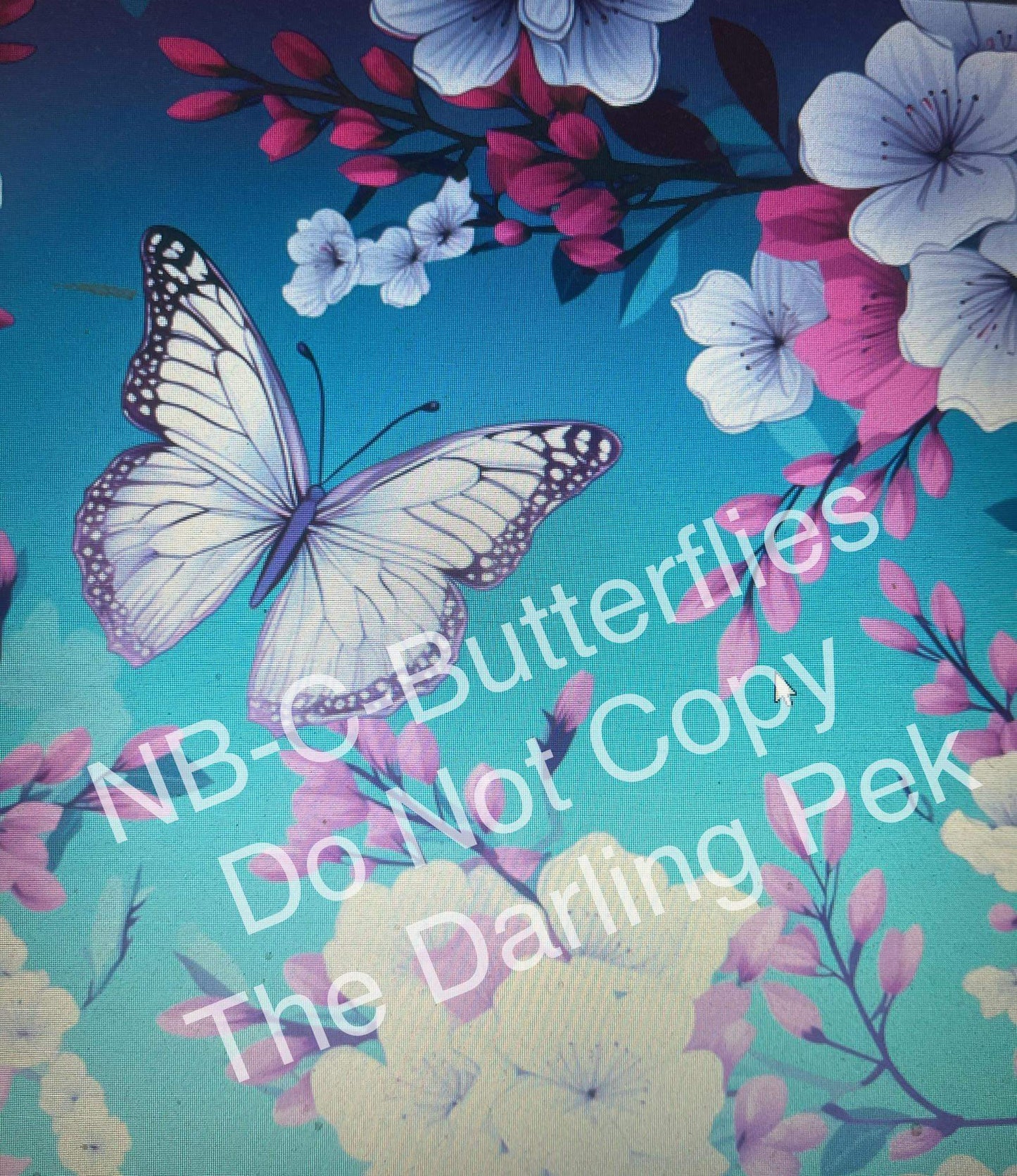 NB-C-Butterflies